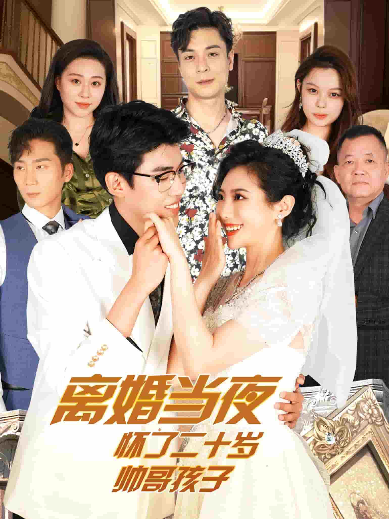 离婚当夜怀了二十岁帅哥封面图