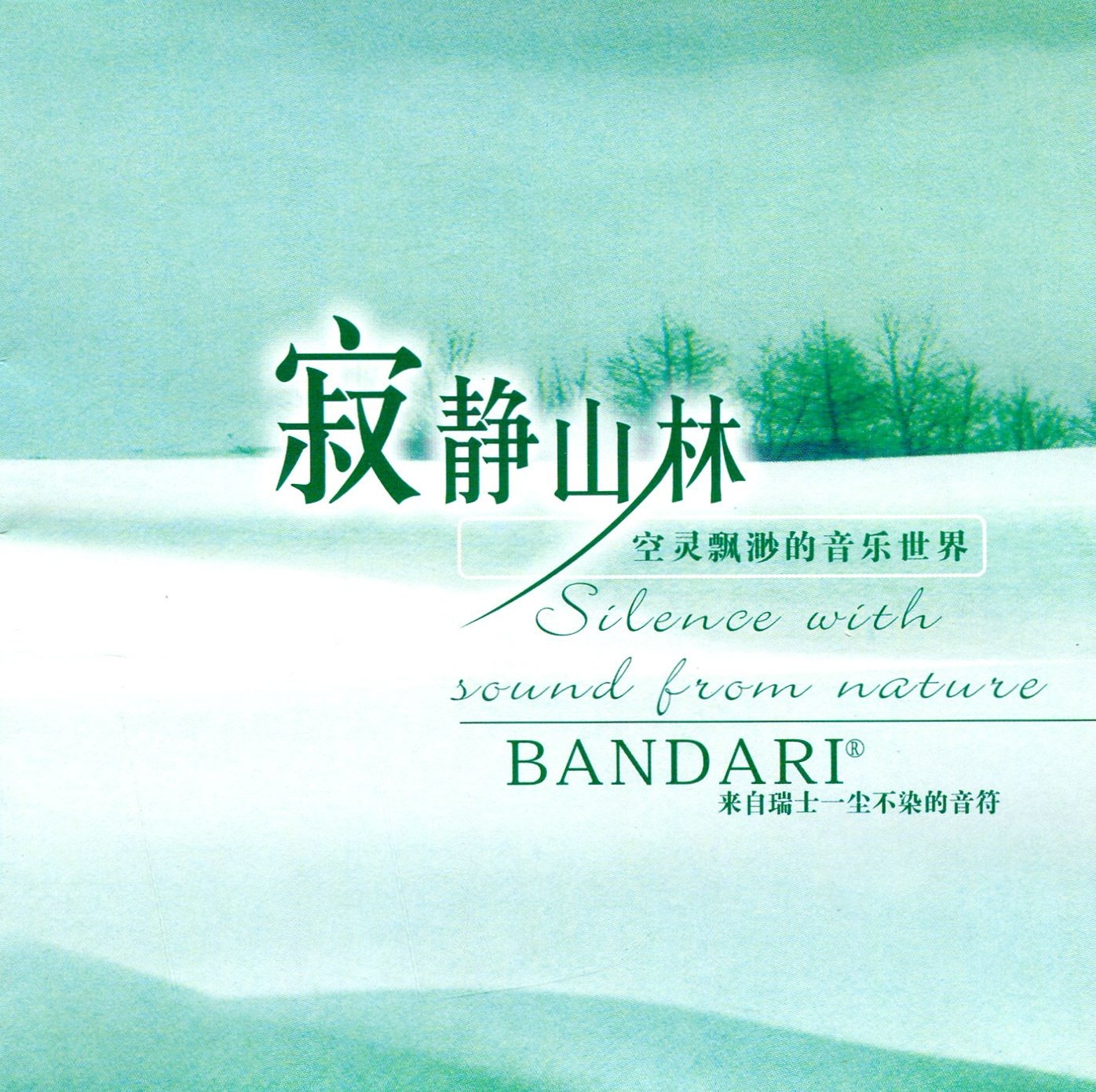 寂静山林封面图