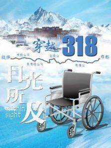 目光所及封面图