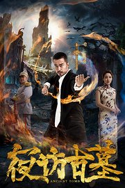 夜访古墓封面图