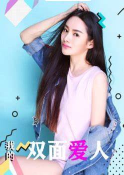 我的双面爱人封面图