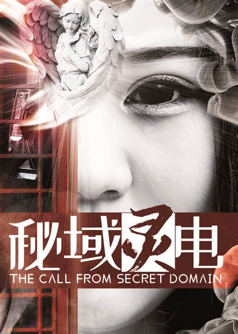 秘域灵电封面图