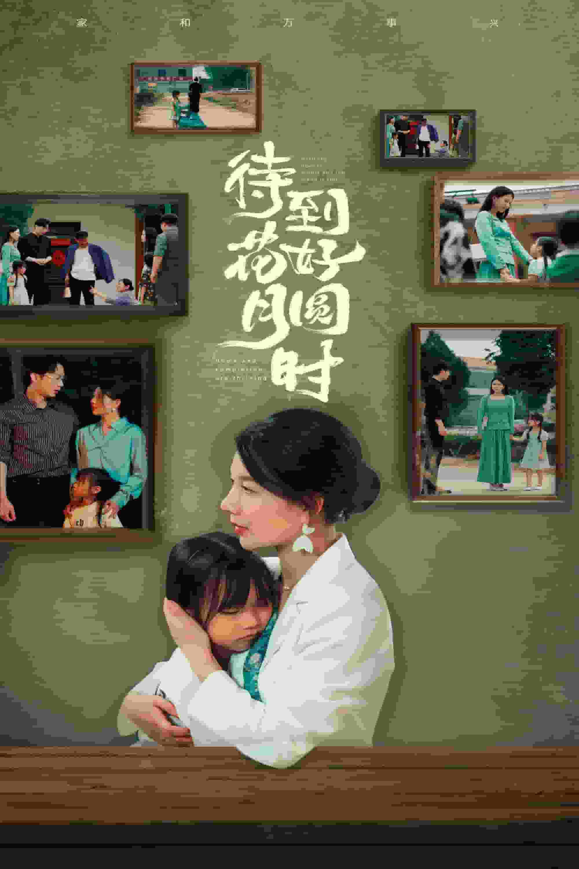 待到花好月圆时封面图