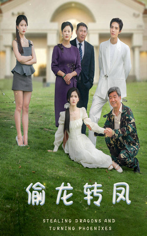 偷龙转凤 短剧版封面图