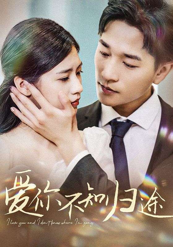 爱你不知归途封面图