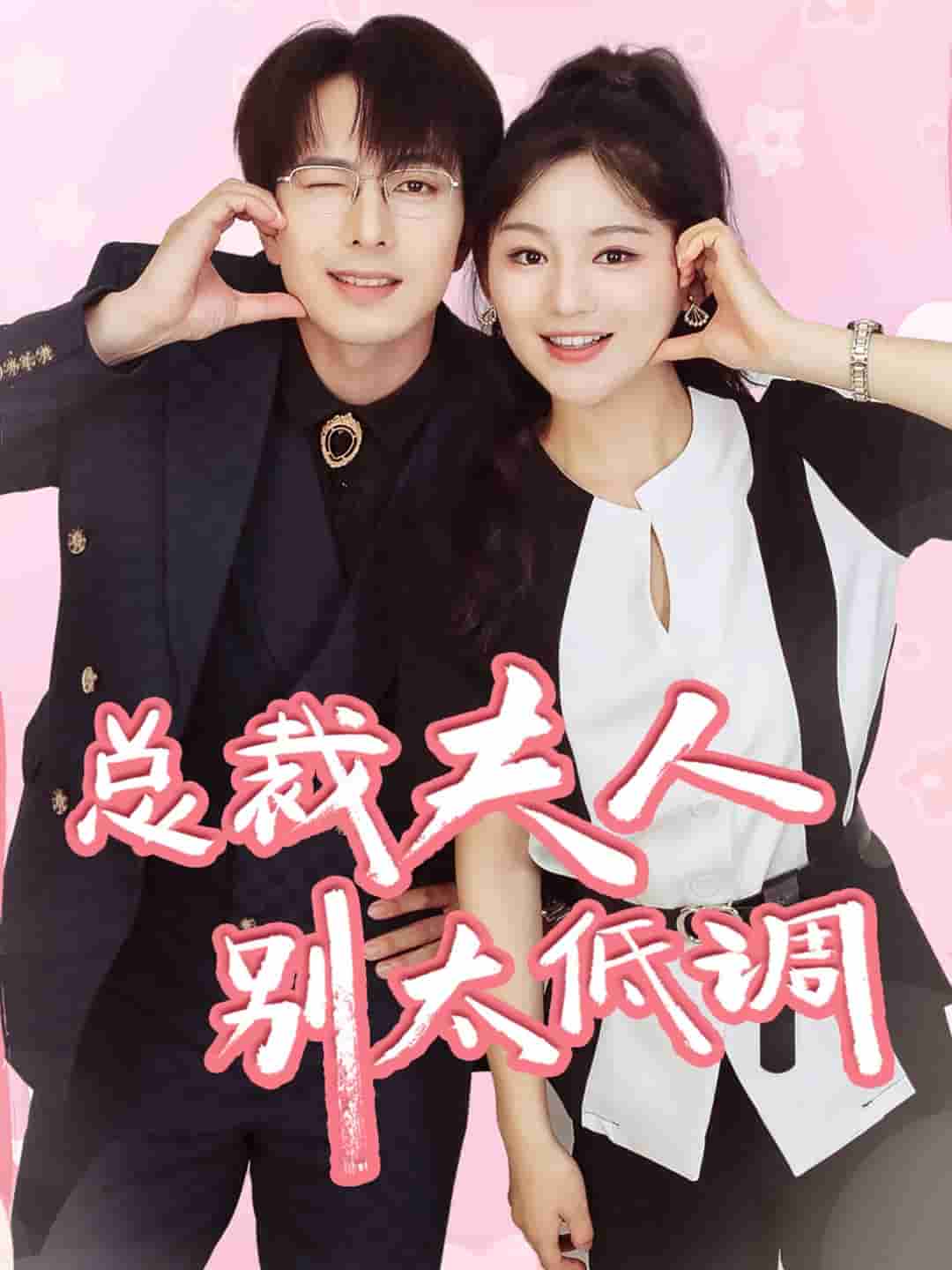 总裁夫人别太低调封面图