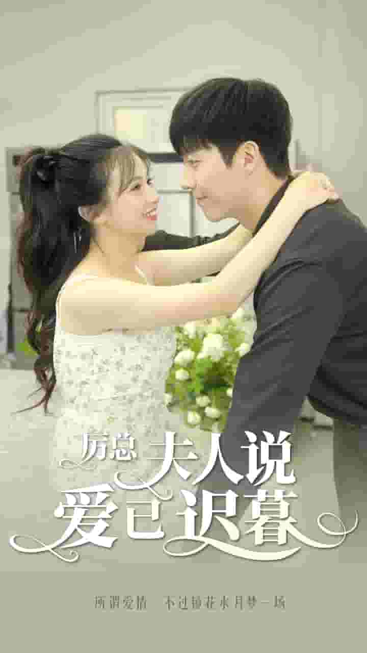 厉总，夫人说爱已迟暮封面图