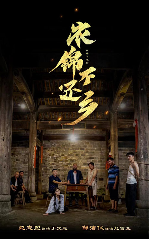 衣锦不还乡封面图