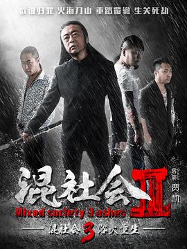 浴火重生2016封面图