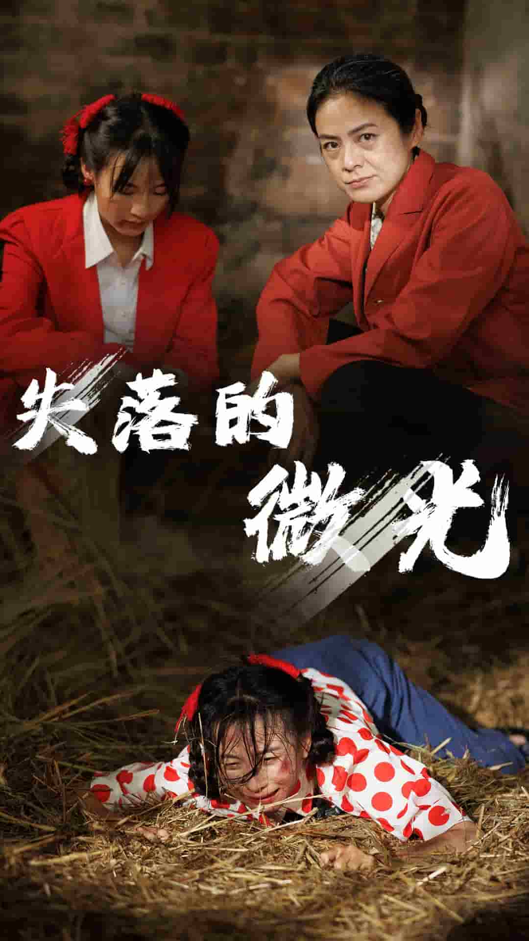 失落的微光封面图