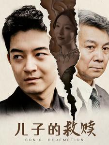 儿子的救赎封面图