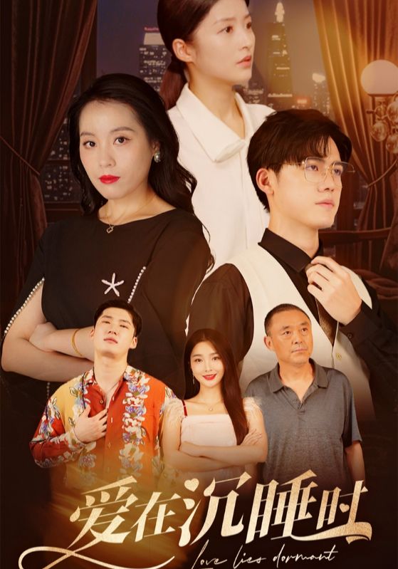 爱在沉睡时封面图