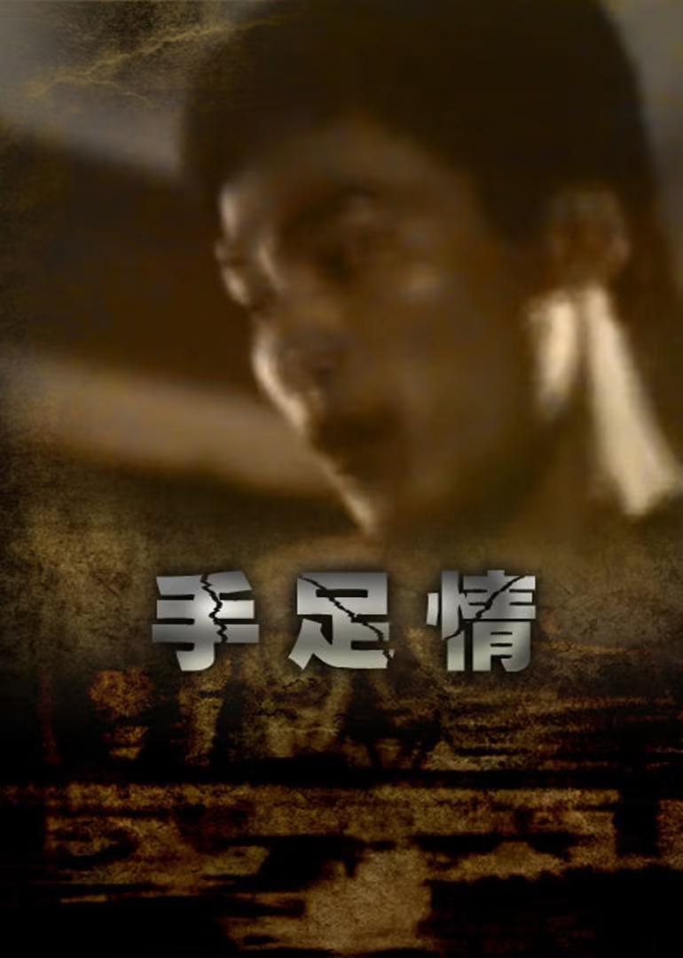 手足情1988封面图