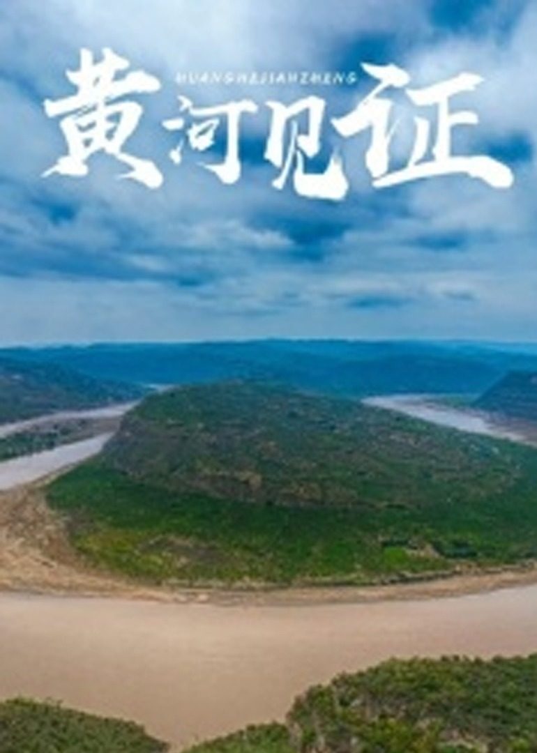 黄河见证封面图