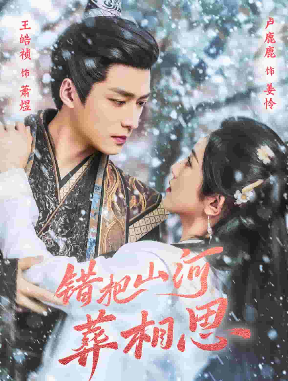 错把山河葬相思封面图