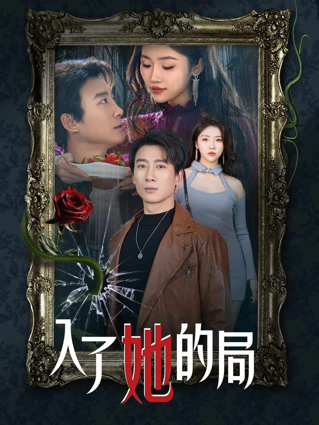 入了她的局封面图