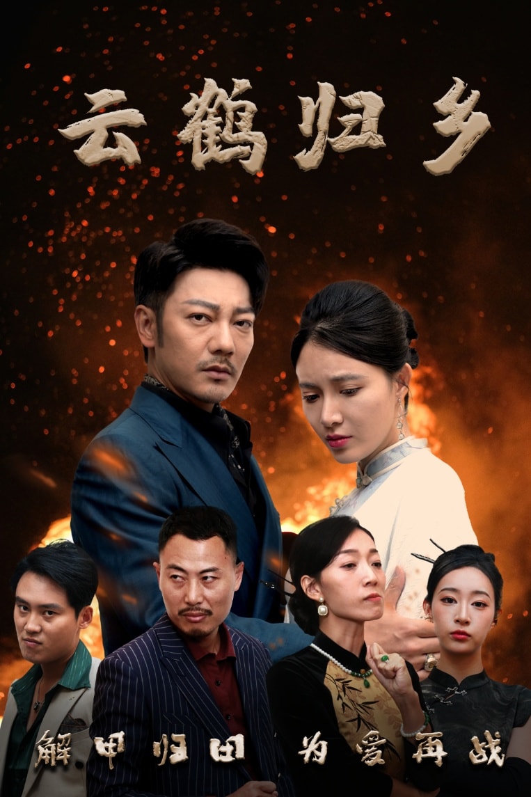 云鹤归乡封面图