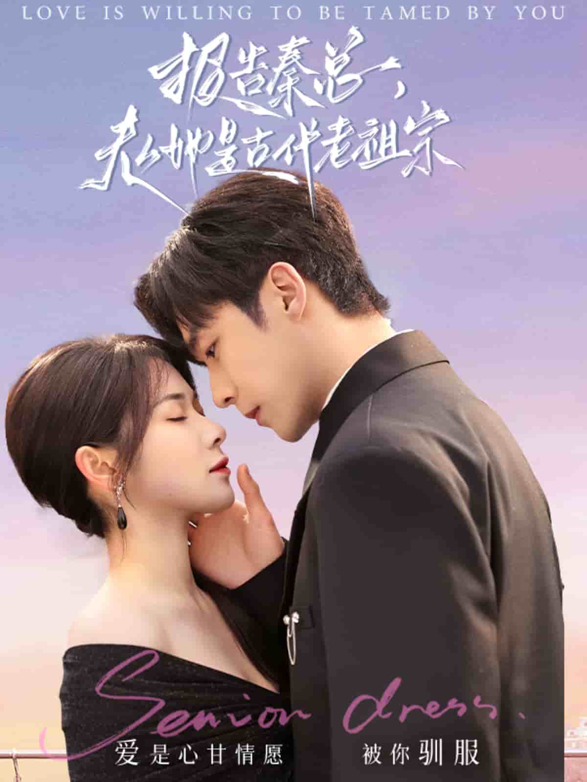 报告秦总，夫人她是古代老祖宗封面图