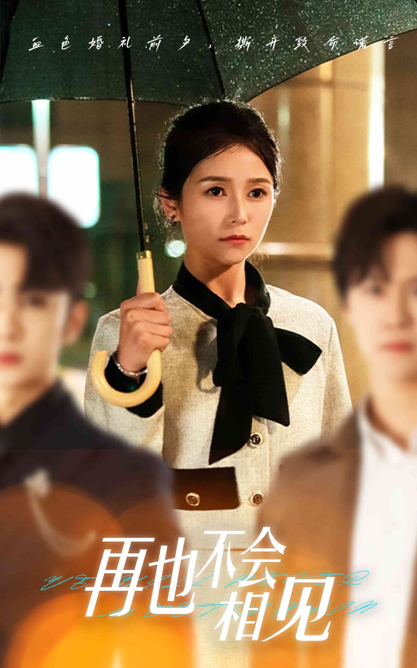 再也不会相见封面图