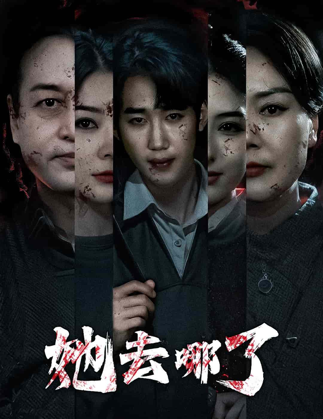 她去哪了封面图