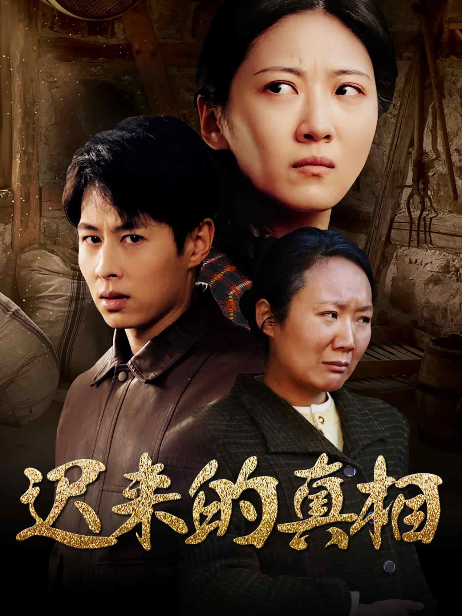 迟来的真相封面图