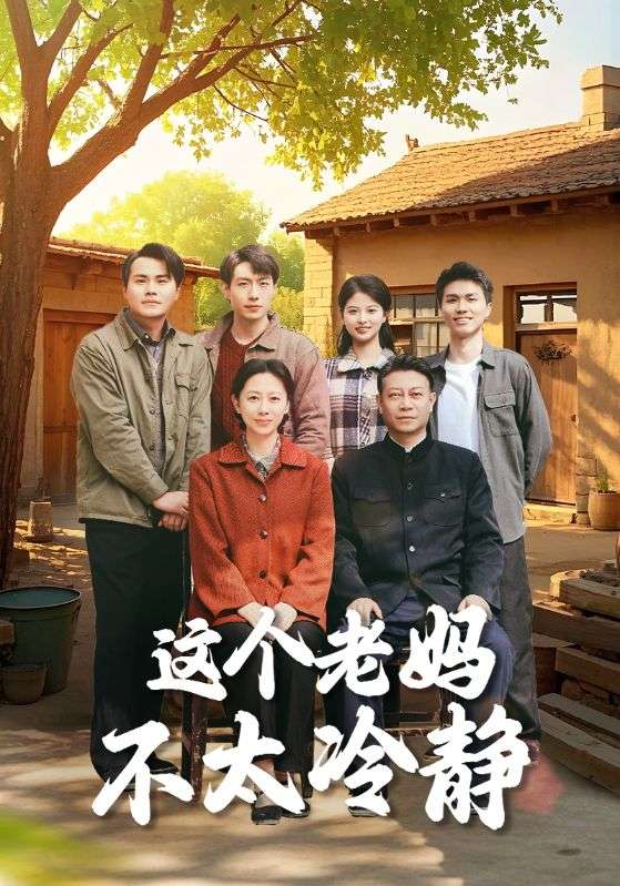 这个老妈不太冷静封面图