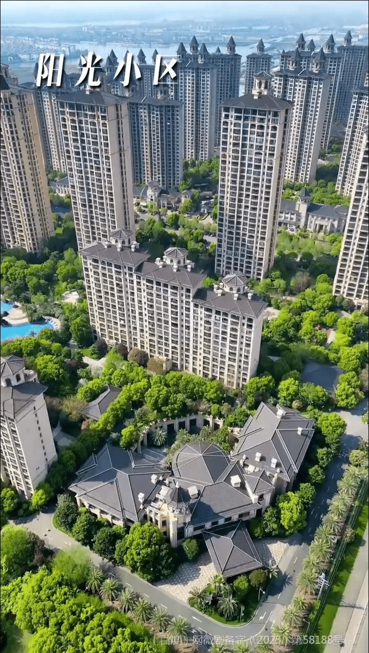 邻火自焚封面图