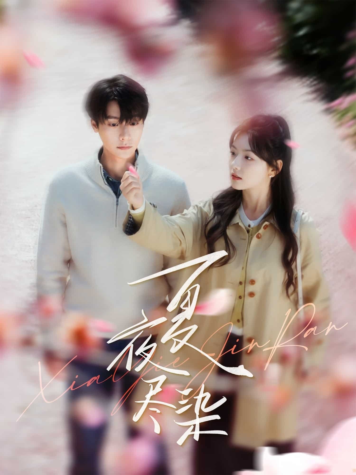 夏夜尽染封面图