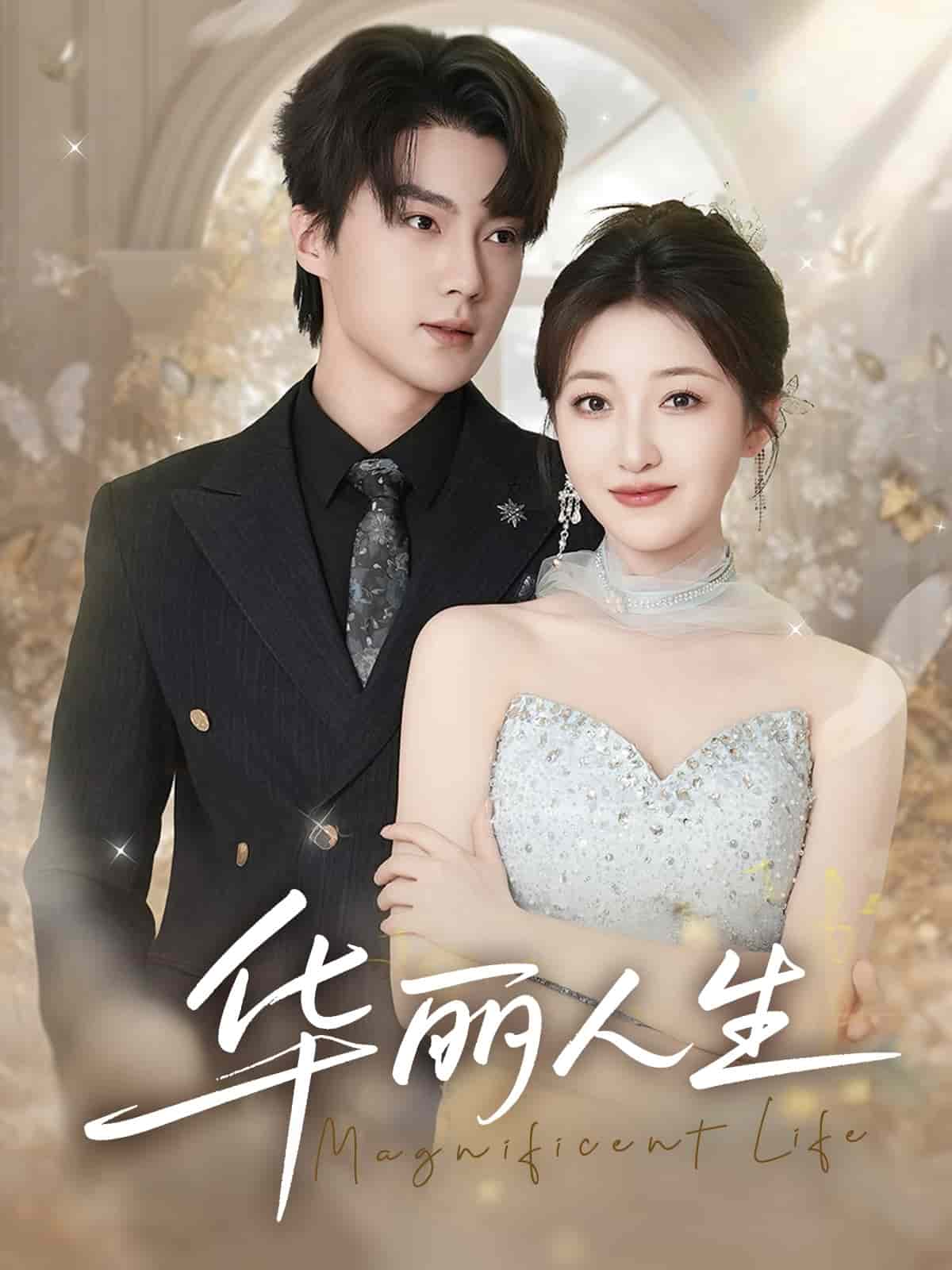 华丽人生封面图