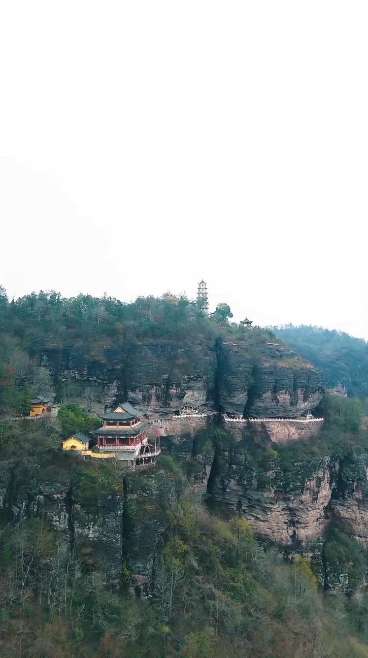 功夫萌宝神算爹