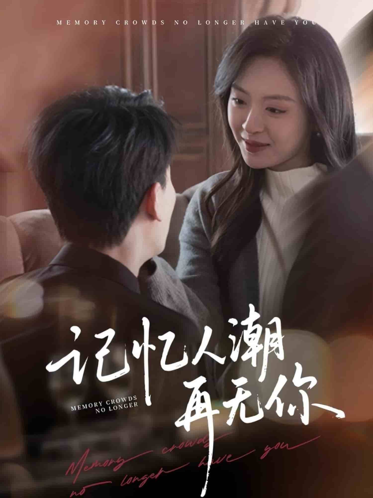 记忆人潮再无你封面图