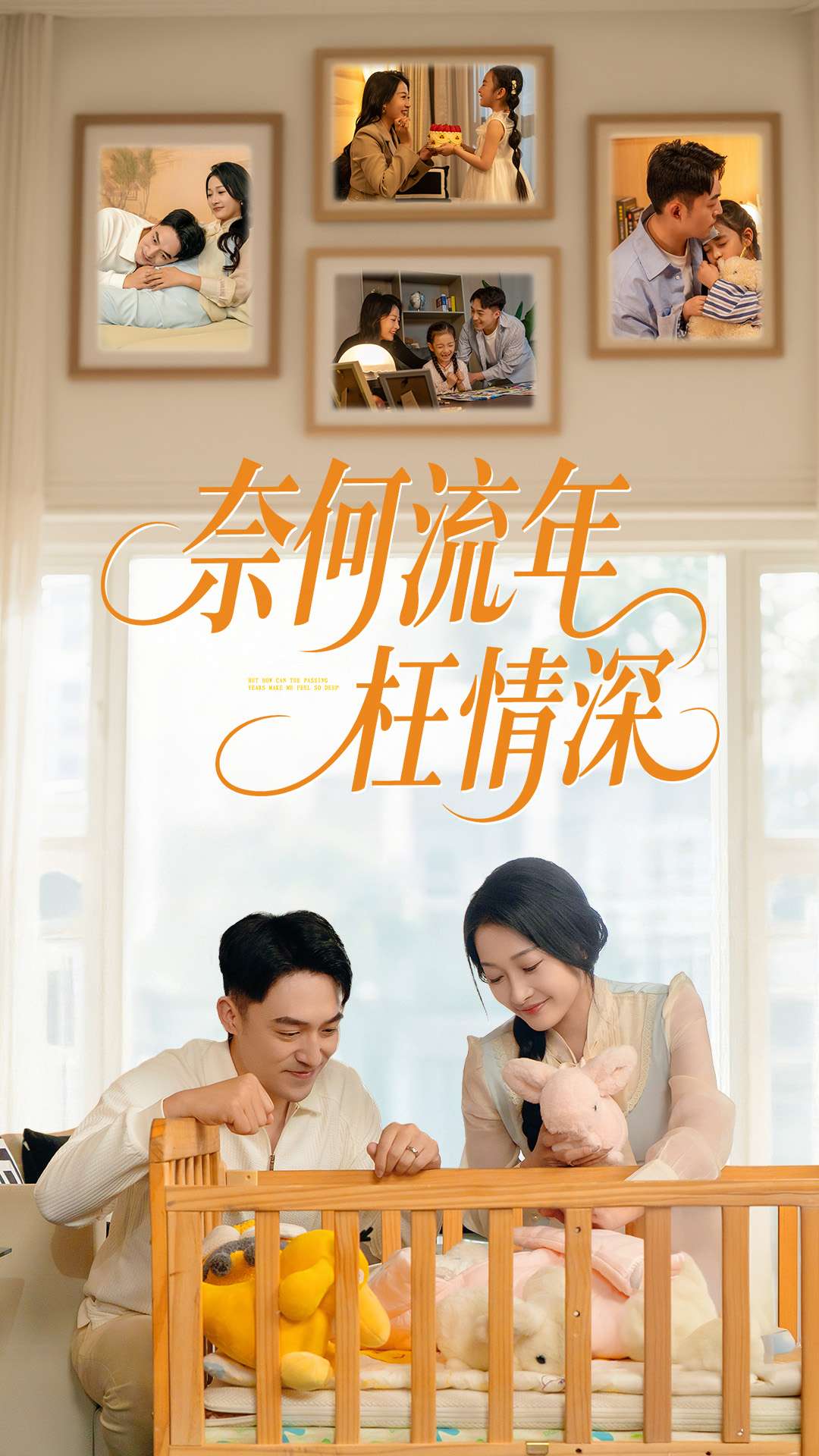 奈何流年枉情深封面图