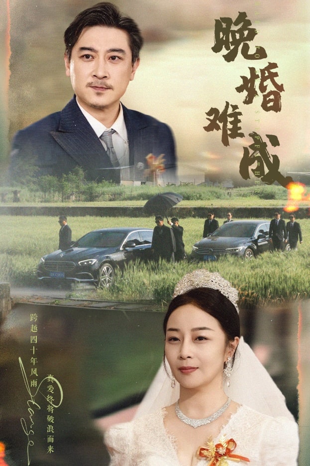 晚婚难成封面图