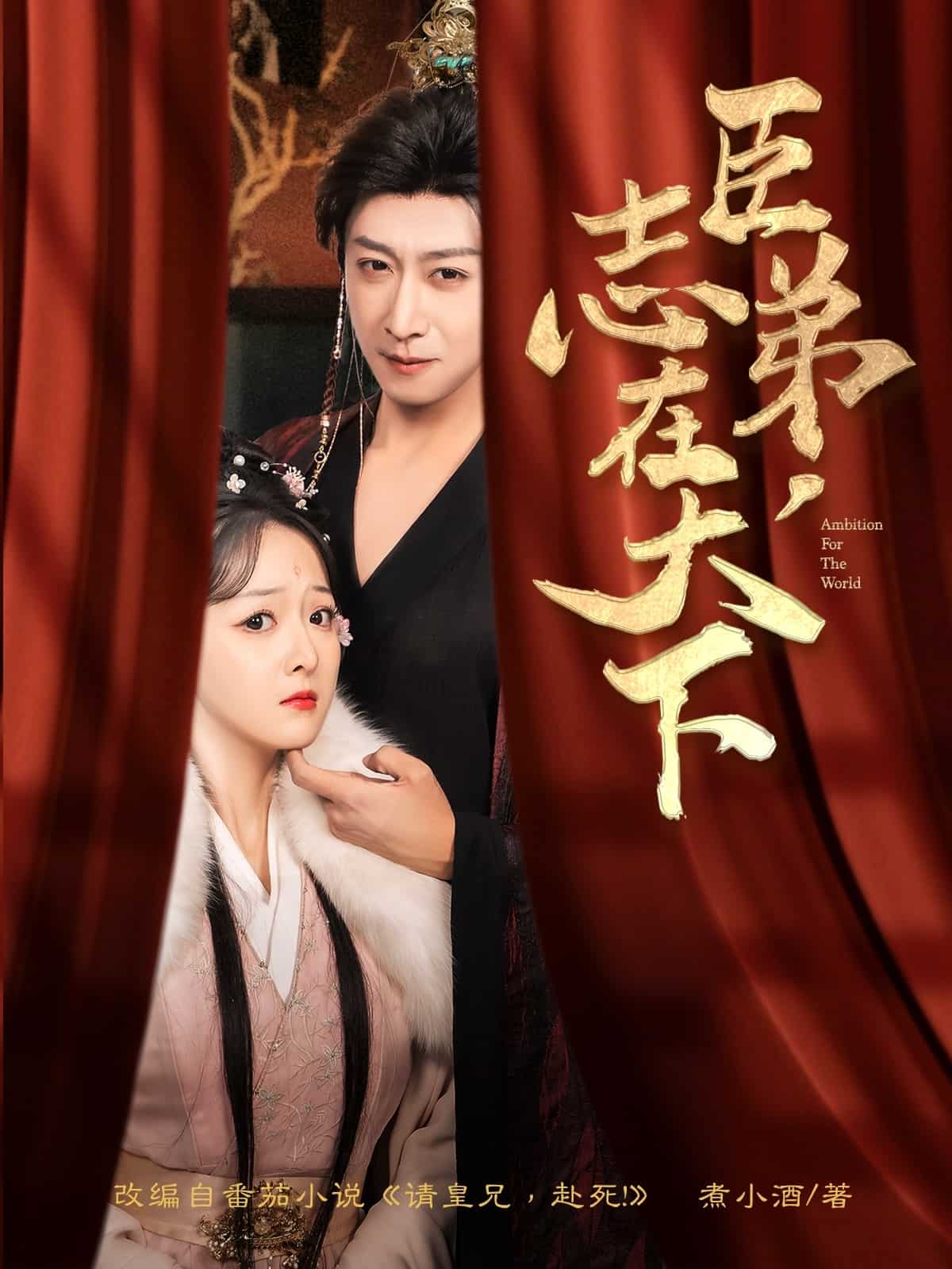 臣弟，志在天下封面图