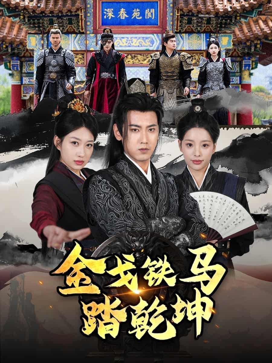 金戈铁马踏乾坤封面图