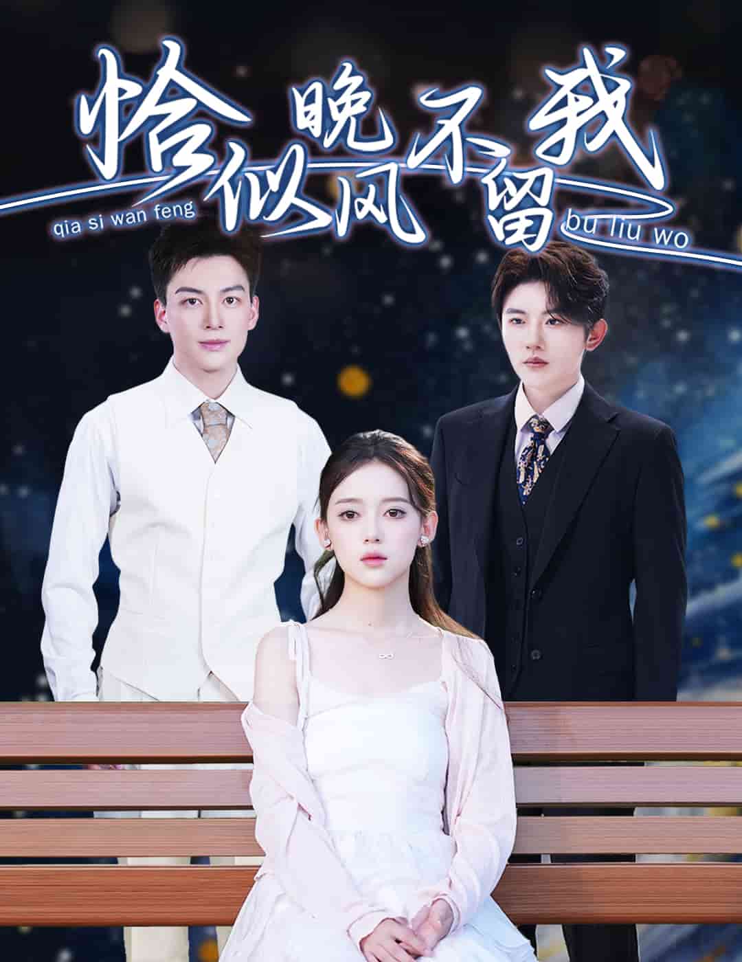 恰似晚风不留我封面图