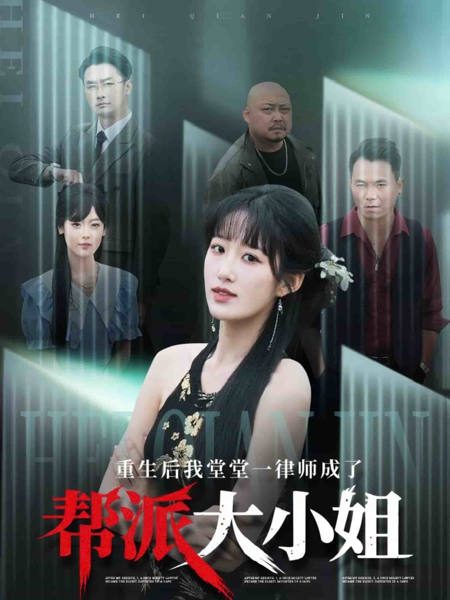 重生后我堂堂一律师成了帮派大小姐封面图
