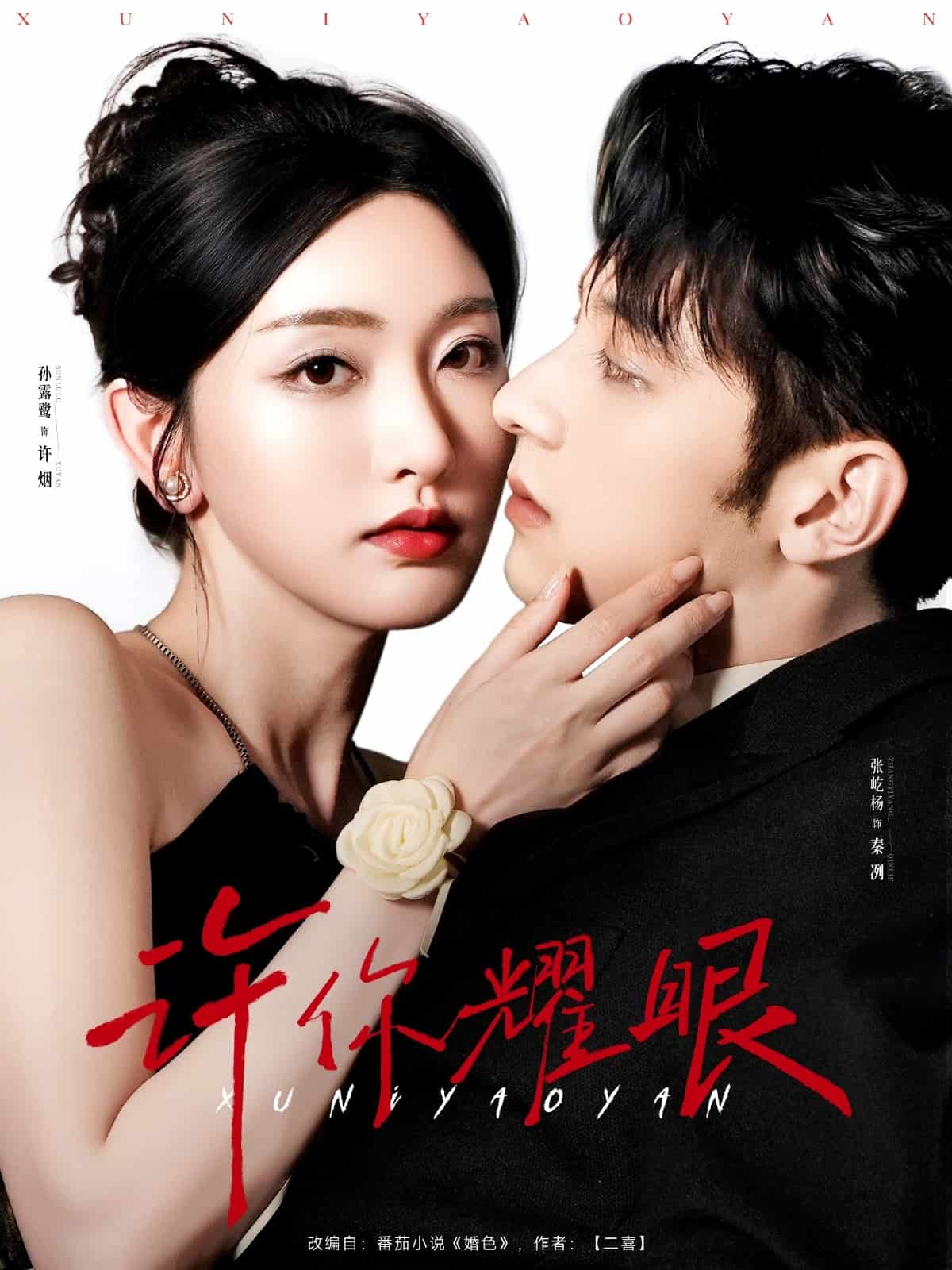 许你耀眼封面图