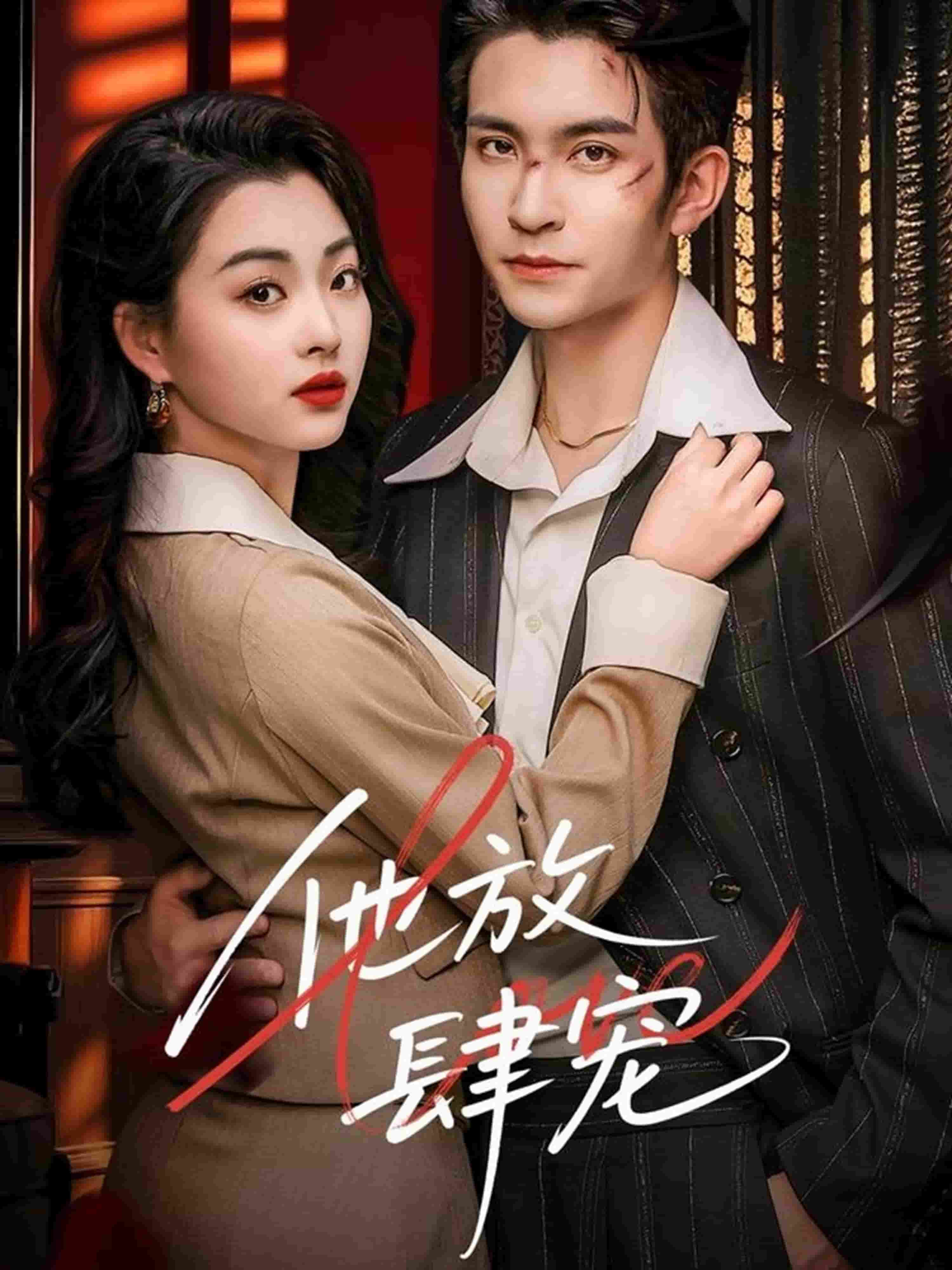 他放肆宠封面图