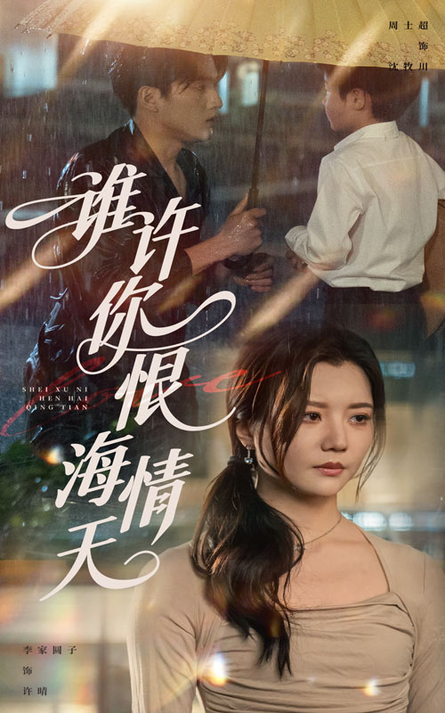 谁许你恨海情天封面图