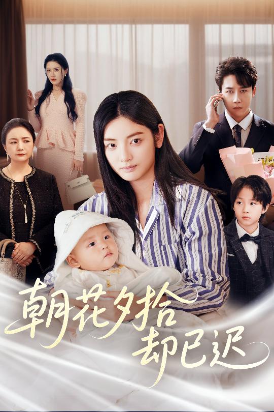 朝花夕拾却已迟封面图