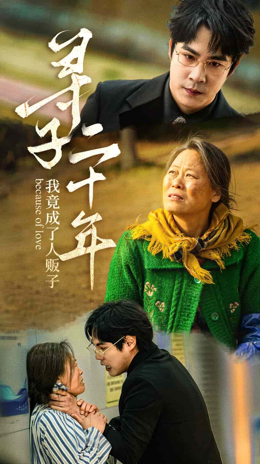 寻子二十年我竟成了人贩子封面图