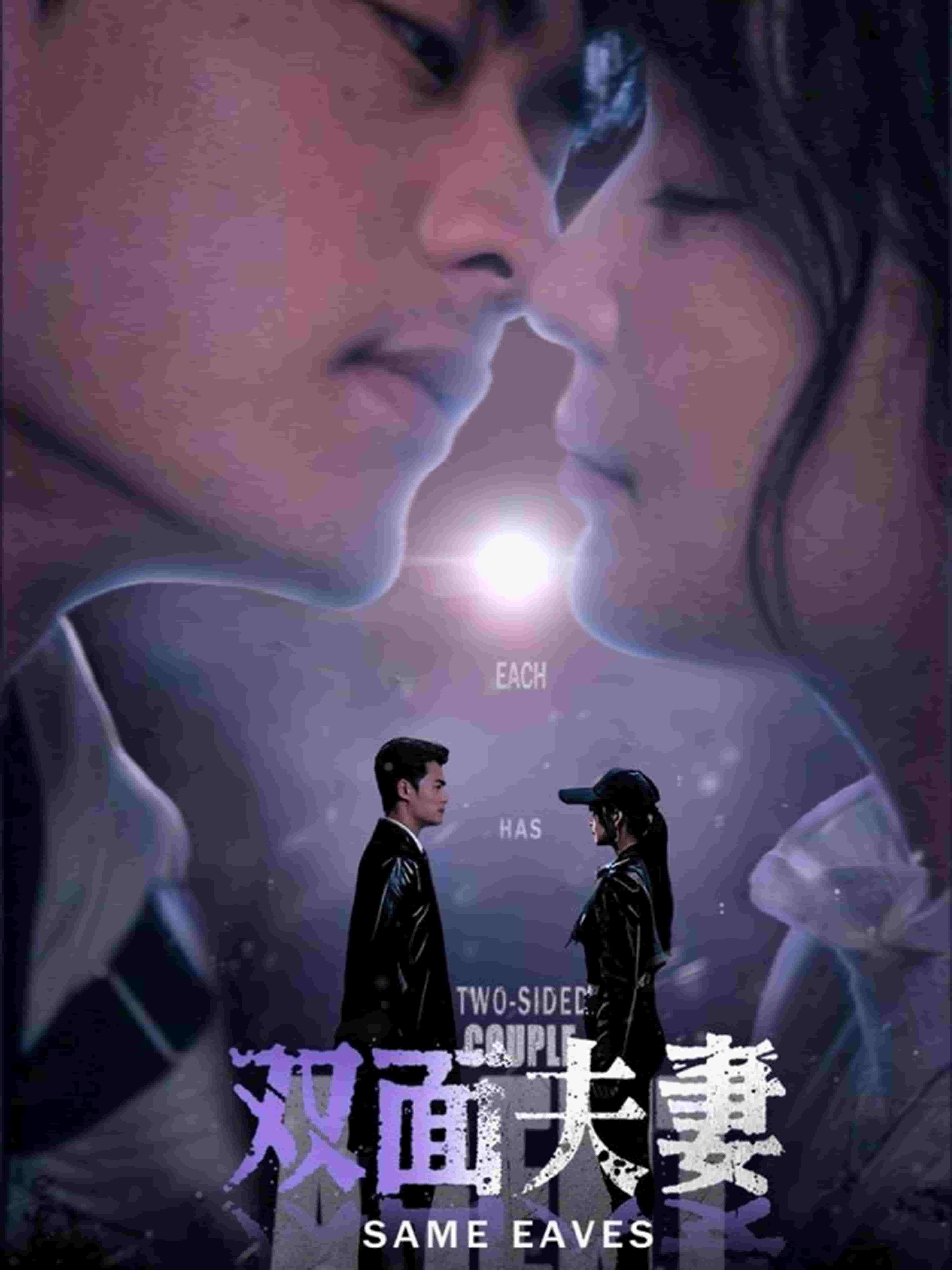 双面夫妻封面图