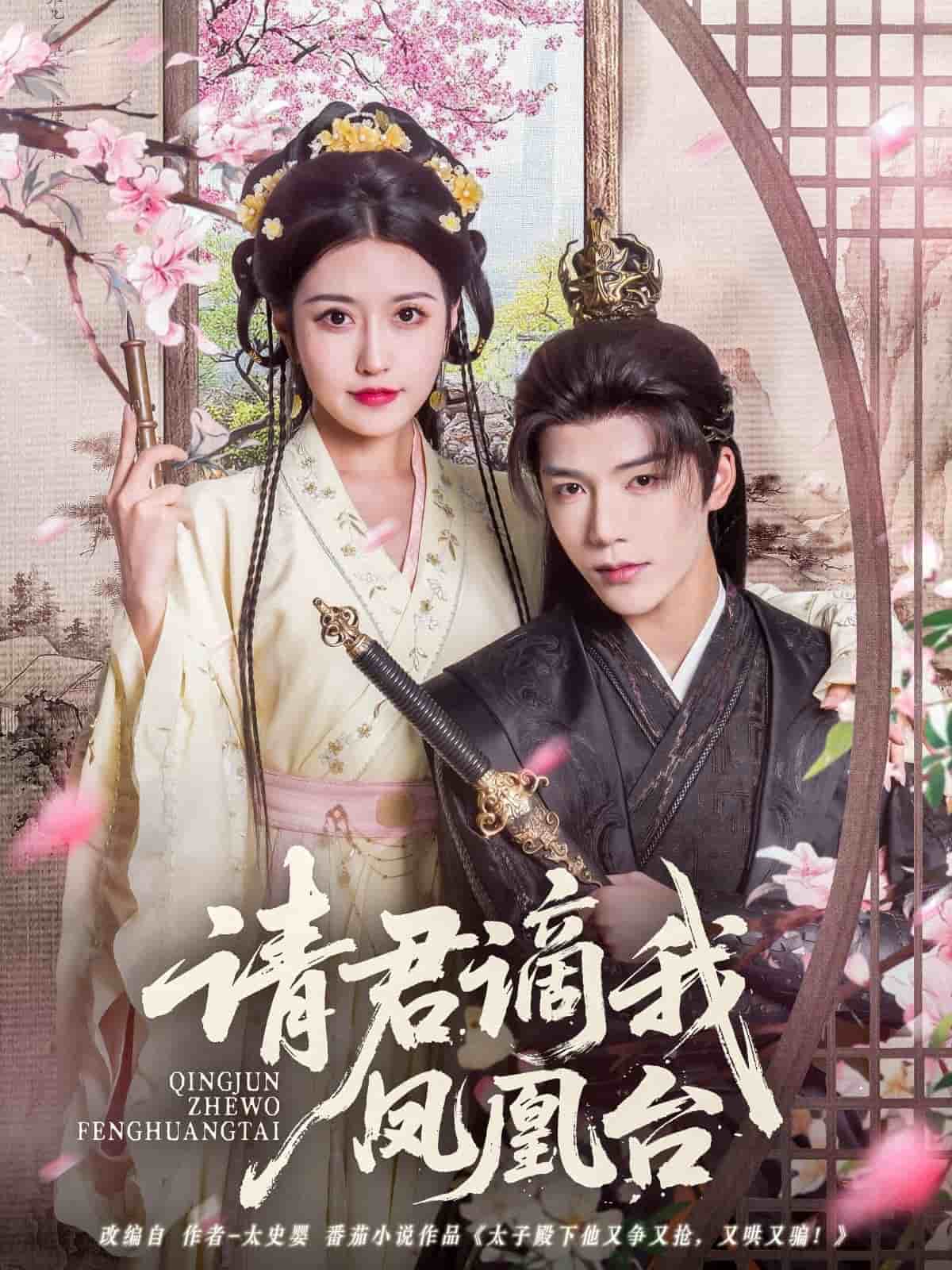 请君谪我凤凰台封面图