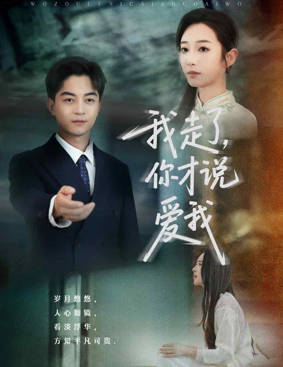 我走了你才说爱我封面图