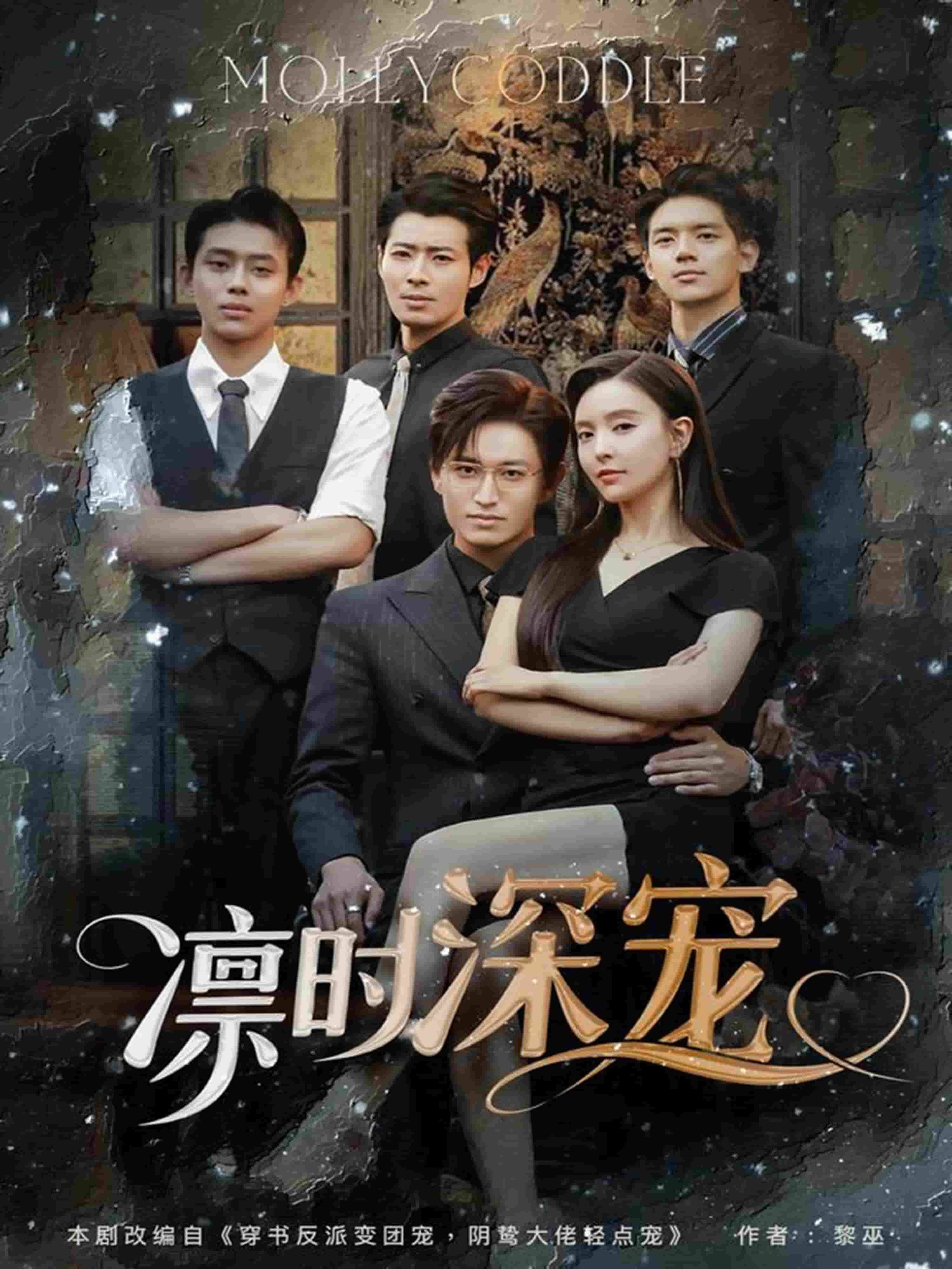 凛时深宠封面图