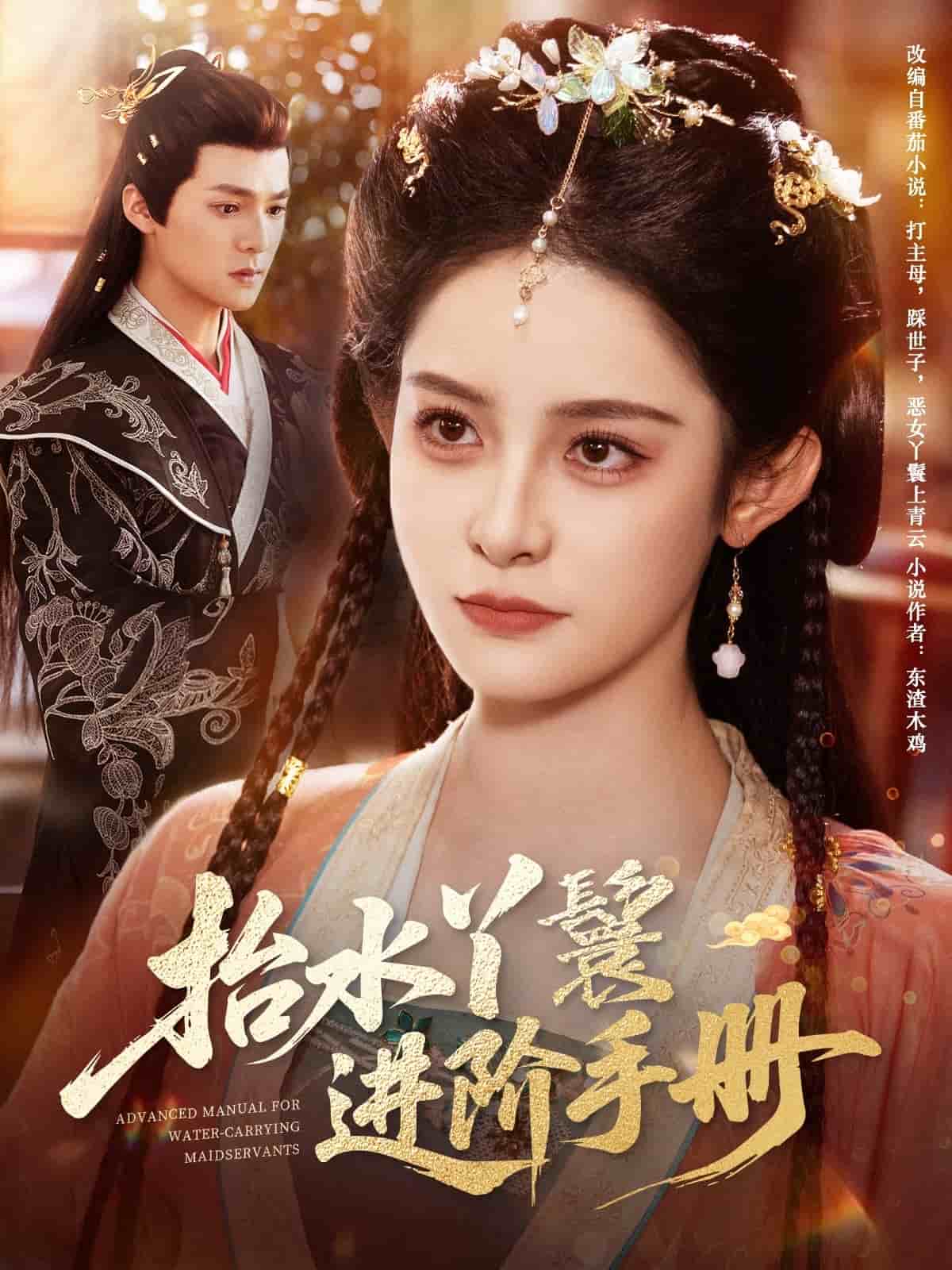 抬水丫鬟进阶手册封面图