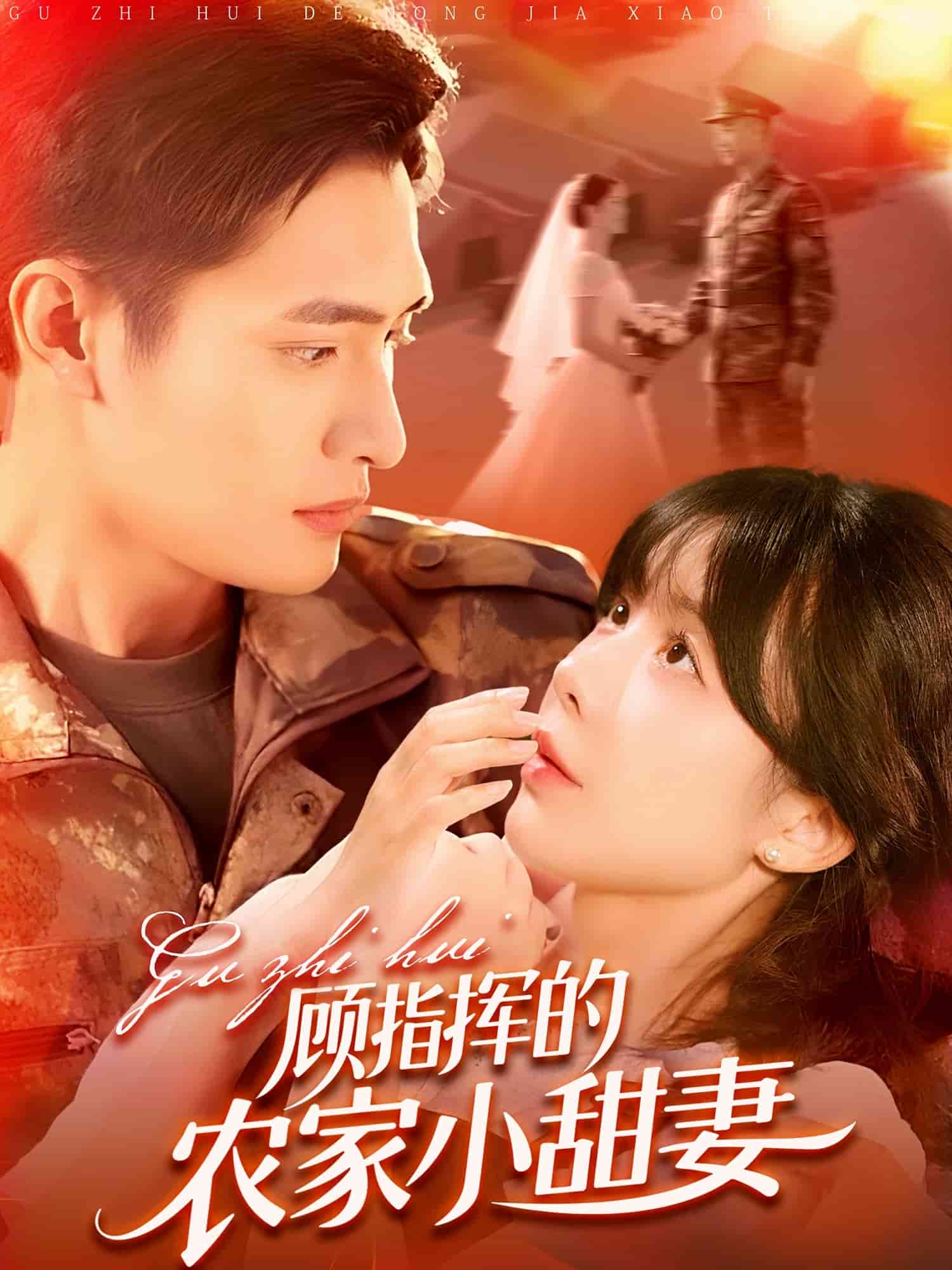 顾指挥的农家小甜妻封面图