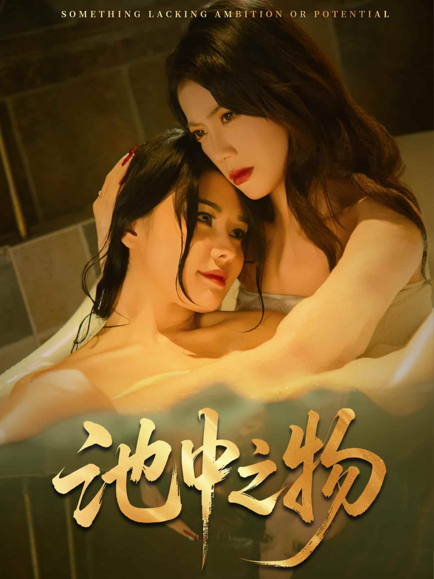 池中之物封面图