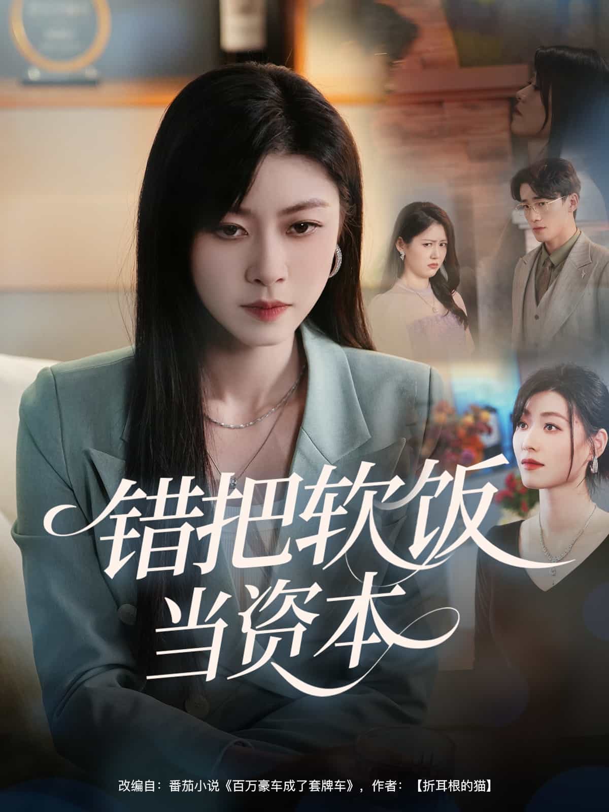 错把软饭当资本封面图